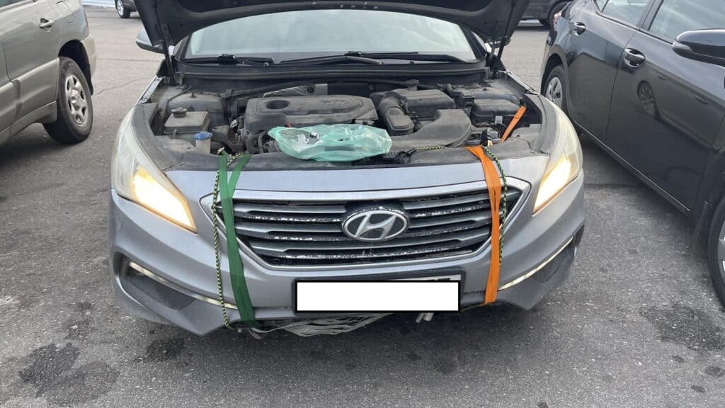 Елена П., 29 лет