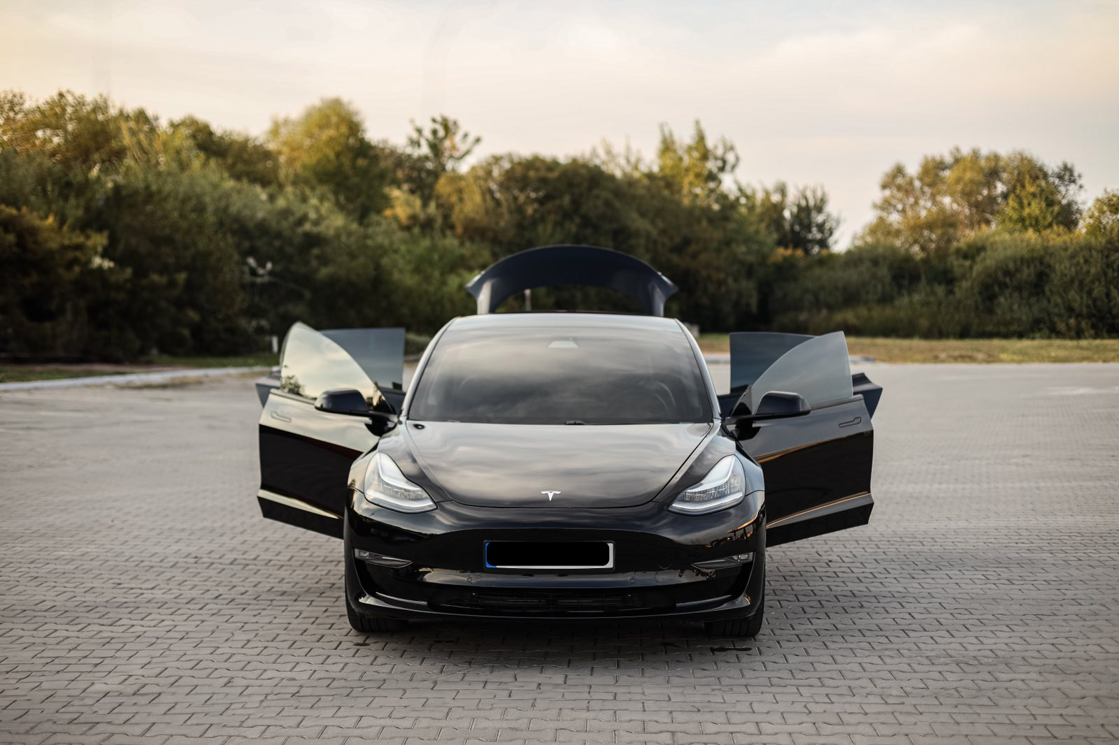 Выкуп автомобилей на украинских номерах — решение от ShopAvto